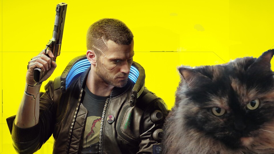 Wir verraten euch, wo ihr eure eigene Katze in Cyberpunk 2077 bekommen könnt.