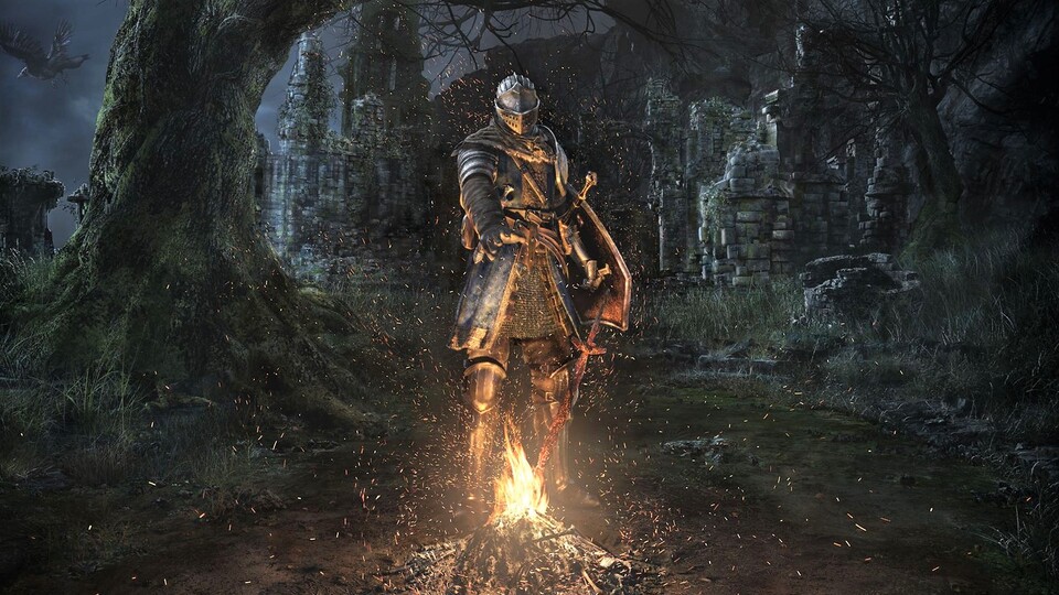 Ein Battle Royale im Universum von Dark Souls? Für From Software nicht undenkbar.