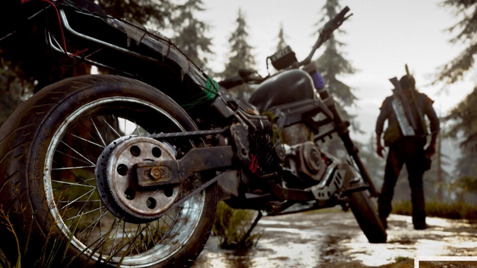 Days Gone erhält zum Launch auf PS4 einen Fotomodus, der coole Bilder erlaubt. 