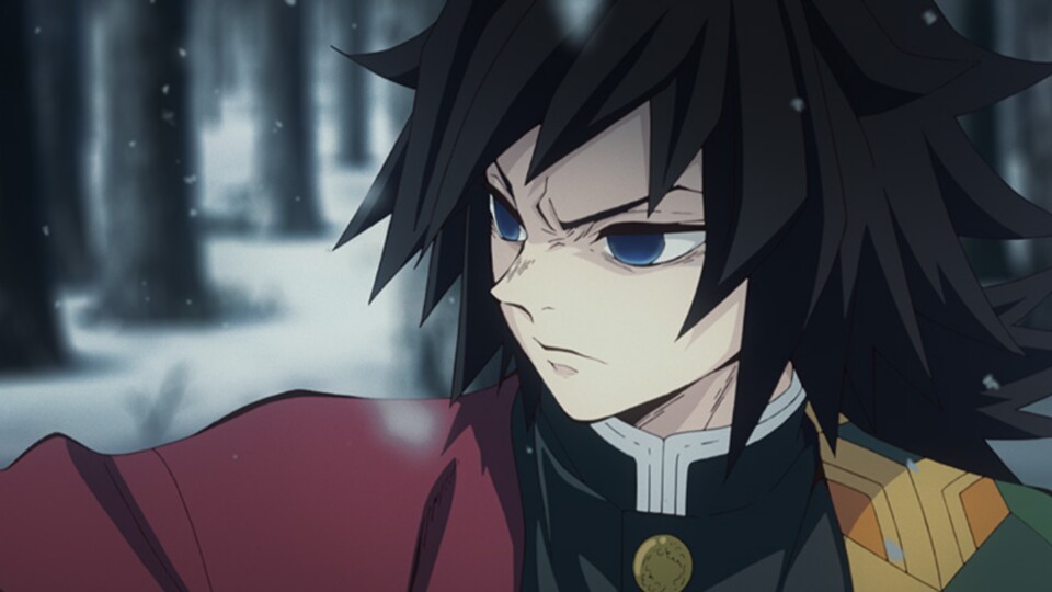 Tomioka ist der erste der Säulen, der auf Tanjiro und Nezuko trifft. (© Koyoharu Gotouge, Shueisha Ufotable)