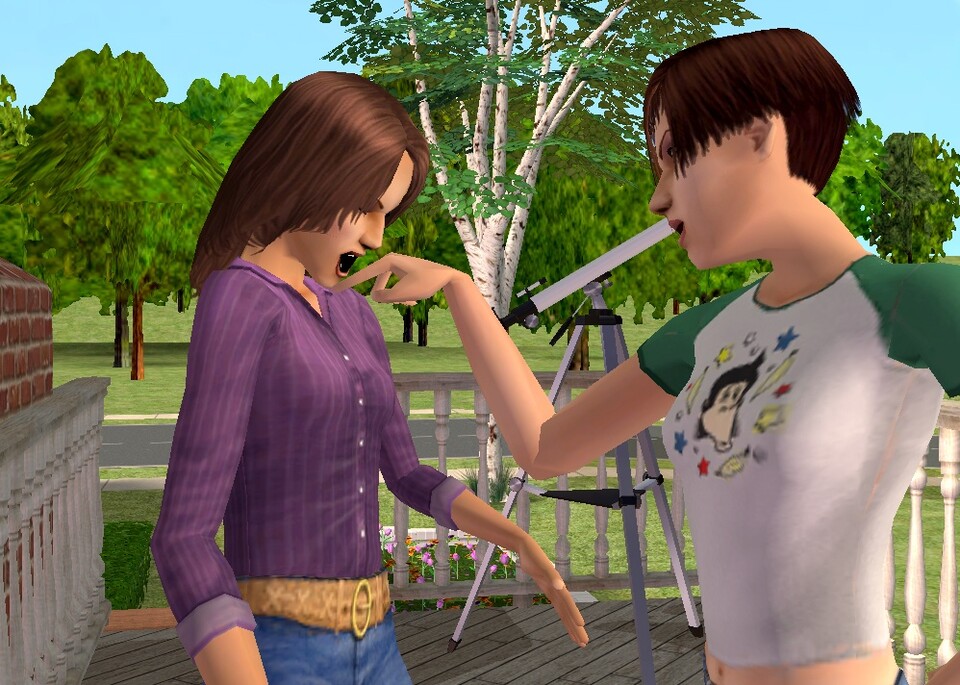 Bereits in Die Sims: Lebensgeschichten gab es einen Story-Modus.