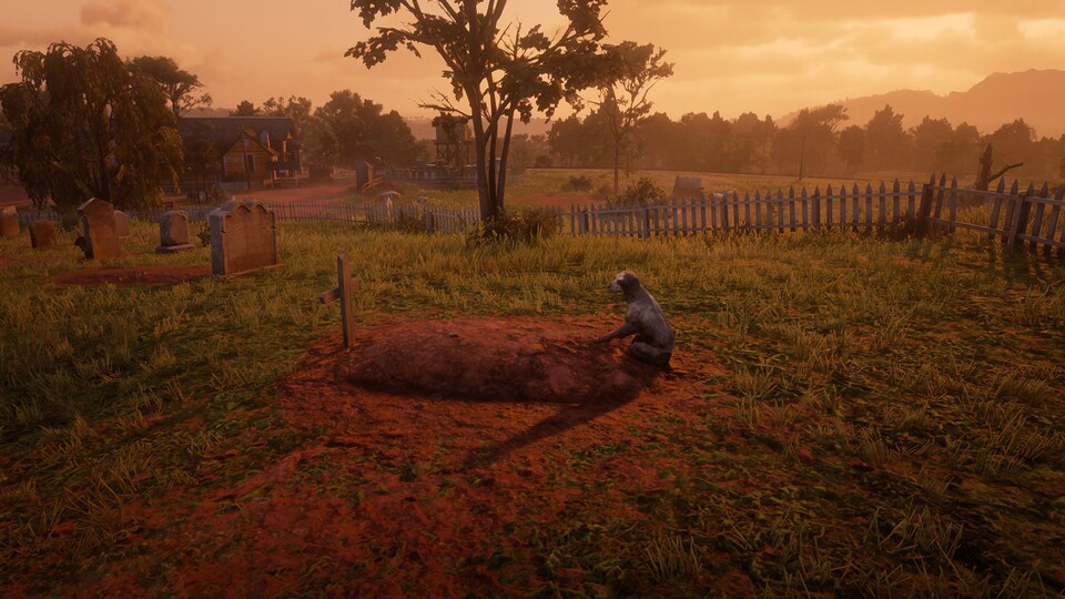 Dieser Hund in Red Dead Redemption 2 betrauert sein verstorbenes Herrchen an dessen Grab.