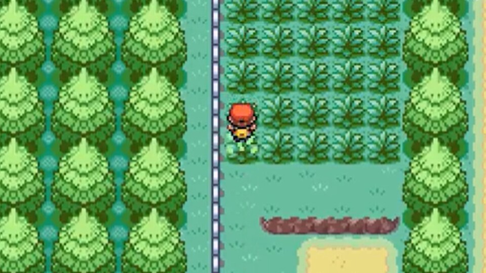 Diese Stelle auf Route 14 ist ein guter Ort, um Ditto zu finden.