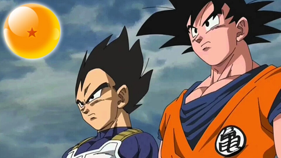 Für Sven sind Son-Goku und Vegeta die perfekten Hauptfiguren.