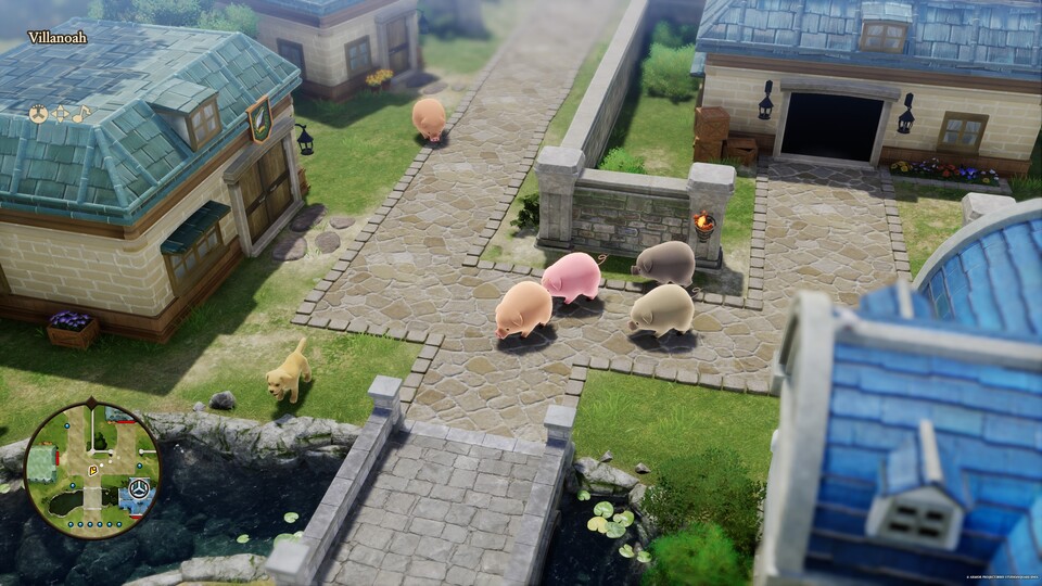 Nanu? Warum haben sich denn alle Dorfbewohner in Tiere verwandelt?