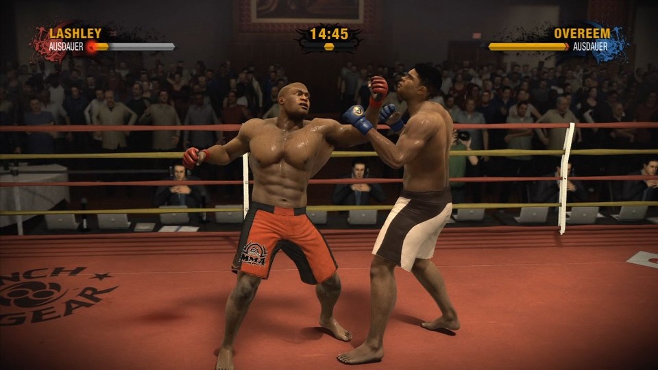 Richtig gute MMA-Kämpfer können einen Kampf innerhalb weniger Sekunden beenden.