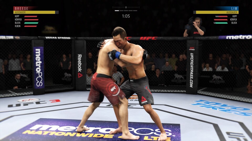 Bereits in den Vorgängern wie EA Sports UFC 3 wurde Werbung z.B. auf dem Ringboden platziert.