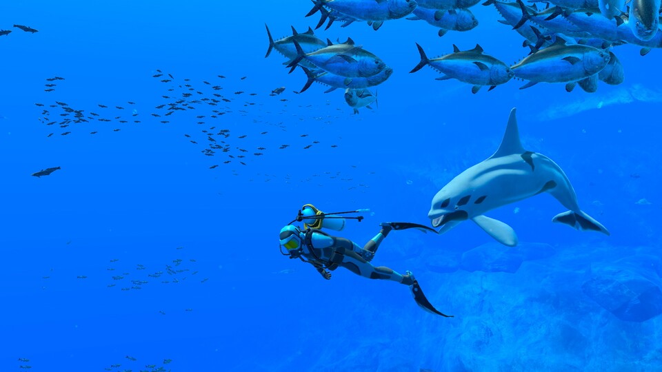 Endless Ocean: Luminous lässt euch allein oder im Online-Multiplayer den Ozean erkunden.