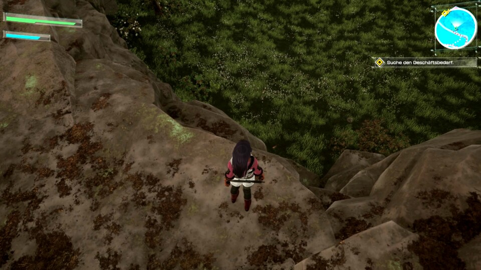 Meine Hauptfigur kann nicht einmal von dieser Anhöhe springen, um eine Abkürzung zu nehmen. (© Game Studio Inc. Bandai Namco)