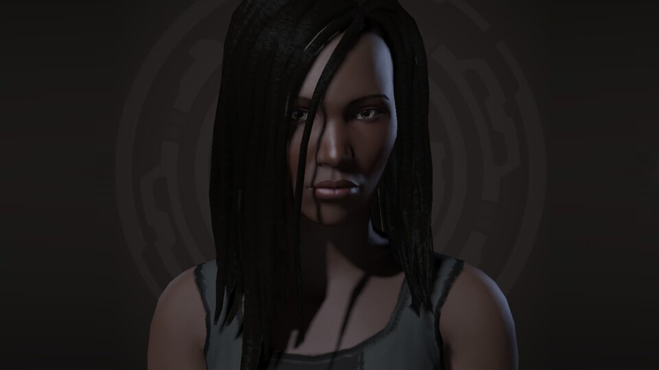 Rae hat die Charaktere aus EVE nicht für das Spiel selbst genutzt, sondern für ihre Schreibprojekte.
