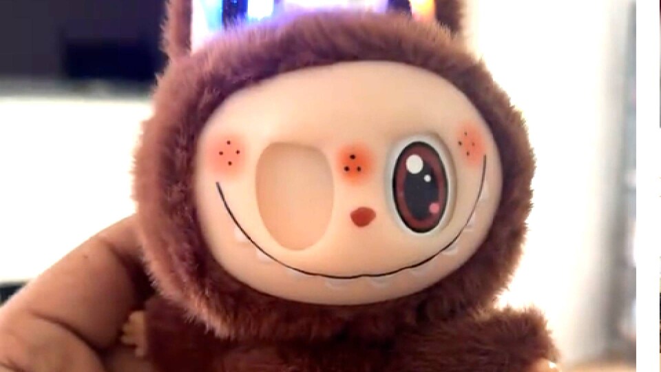 Dieser Lafufu hat schon bessere Tage gesehen. (Bild: theonlyshamsyouknow auf TikTok)