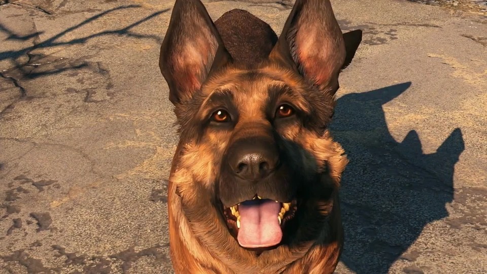 Der beste Freund des Menschen kann in Fallout 4 nicht sterben aber verletzt werden. Wer könnte dem knuddeligen Dogmeat so etwas nur antun?