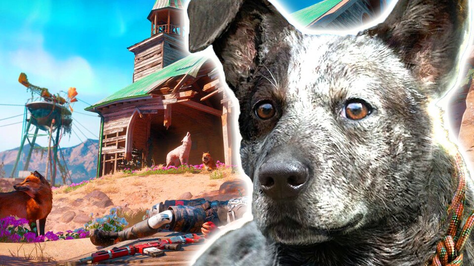 Ein Easter Egg in Far Cry New Dawn verrät, was mit Hund Boomer passiert ist. 