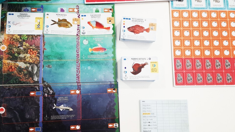 Die Spielmaterialien sind, wie von Feuerland Spiele gewohnt, einfach super schön!