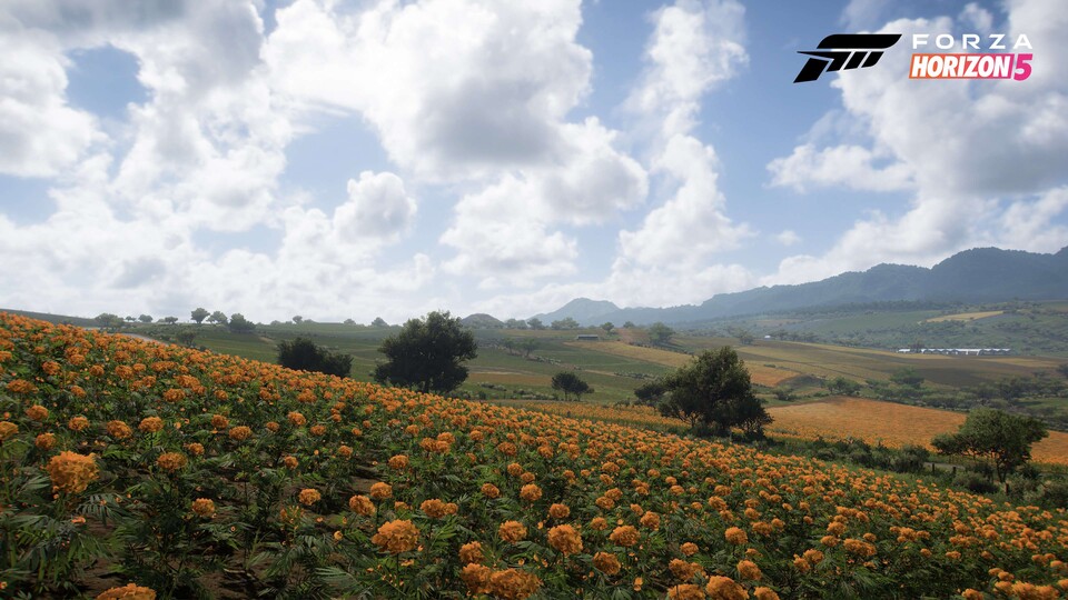 Das zentrale Mexiko, mit weiten Ebenen und vereinzelten Bauernhöfen.