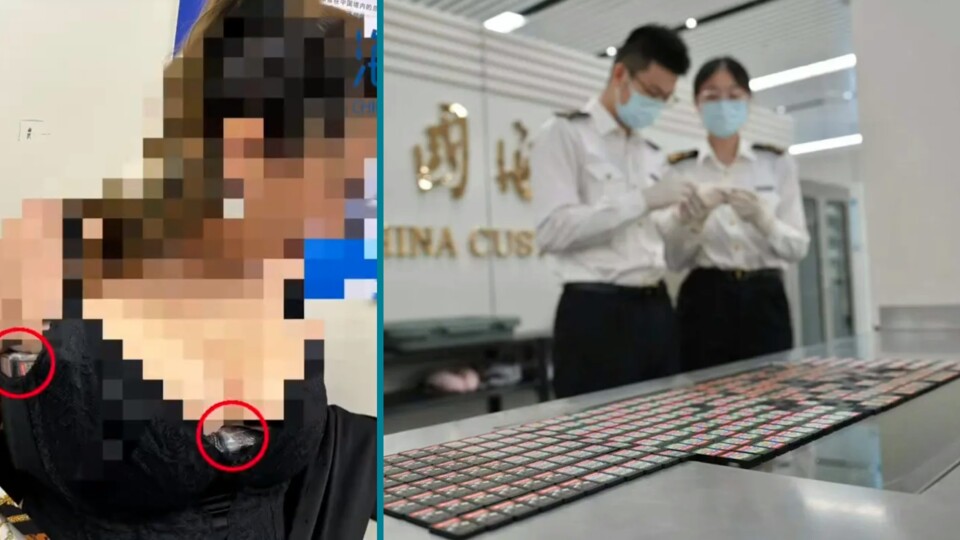 Das wird für die Angestellten am Zoll eine ungewöhnliche Untersuchung gewesen sein: Eine Frau hat probiert, ganze 350 Switch-Spiele im BH zu schmuggeln. (Bild: Hong Kong 01)