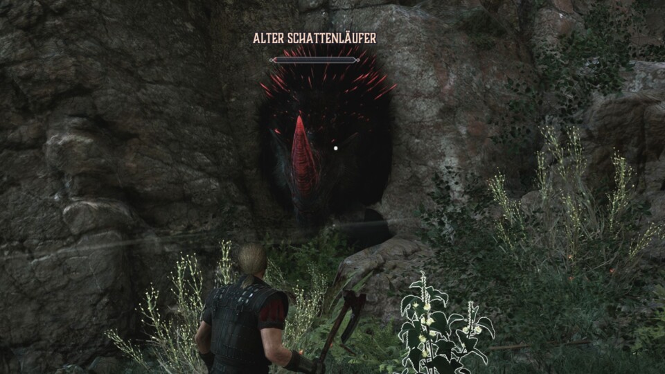 Damit ich an das Fell dieses Schattenläufers kam, musste ich so lange ein Savegame laden, bis seine Leiche weit genug aus der Wand herausschaute, um ihn plündern zu können.