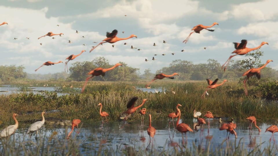 Achtet mal im Trailer darauf, wie das Wasser unter dem mittig im Bild startenden Flamingo aufspritzt und Wellen erzeugt!