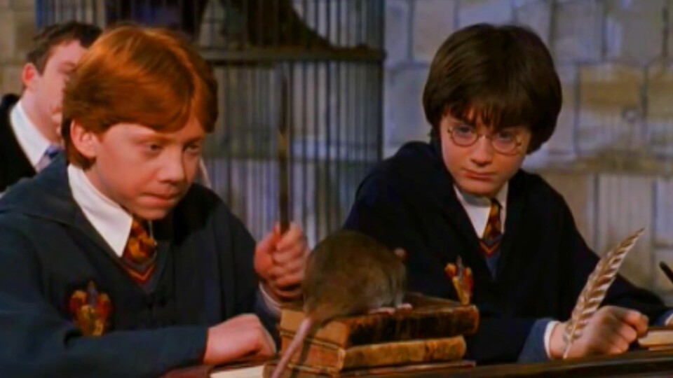 Als Ron im Unterricht einen Zauber vorführen soll, schlägt dieser Versuch gehörig fehl. (Bild: © Warner Bros.)