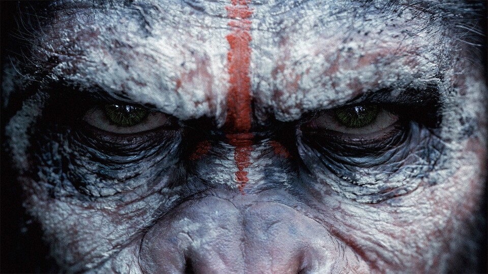 Planet der Affen: Survival setzt die Handlung von Revolution ab dem 3. August 2017 in den deutschen Kinos fort. 