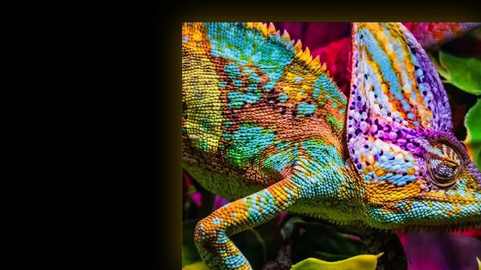 Hisenses ULED-Technologie sorgt für besonders brillante Farben auf eurem neuen TV!