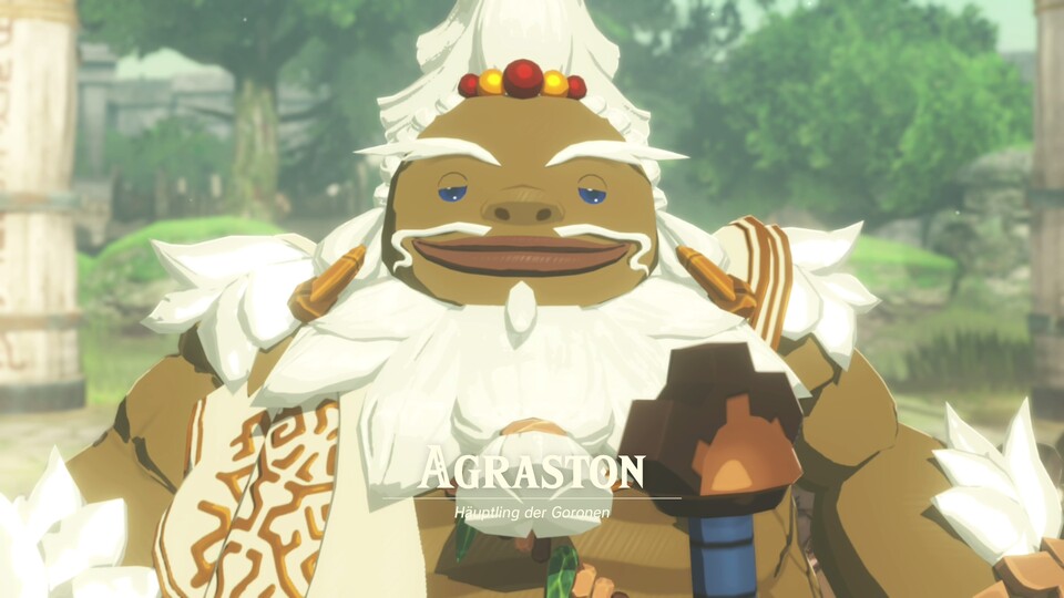 Hyrule Warriors: Chronik der Versiegelung - Agraston