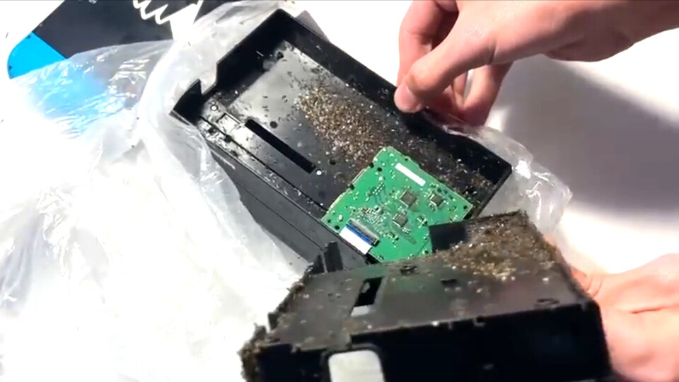 In diesem Nintendo Switch-Dock wohnen haufenweise Ameisen (Bild: reddit.comuserVegetable-Wasabi9501)