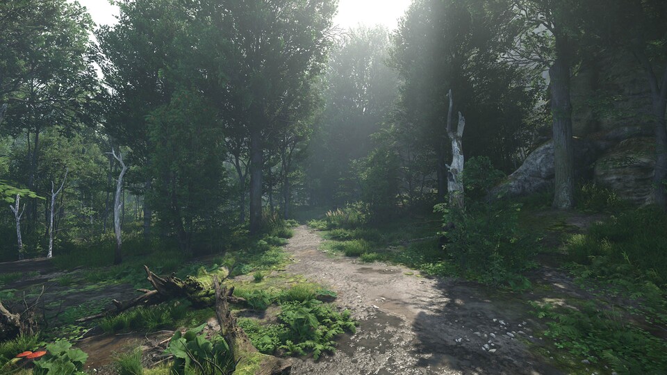 Vor allem an einem sonnigen Tag im Wald liefert die CryEngine V mit SVOGI eine atemberaubende Lichtstimmung.