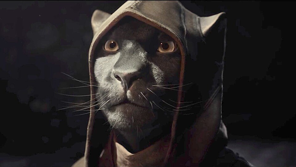 Die Khajiit sind eines der spielbaren Völker in The Elder Scrolls Online.