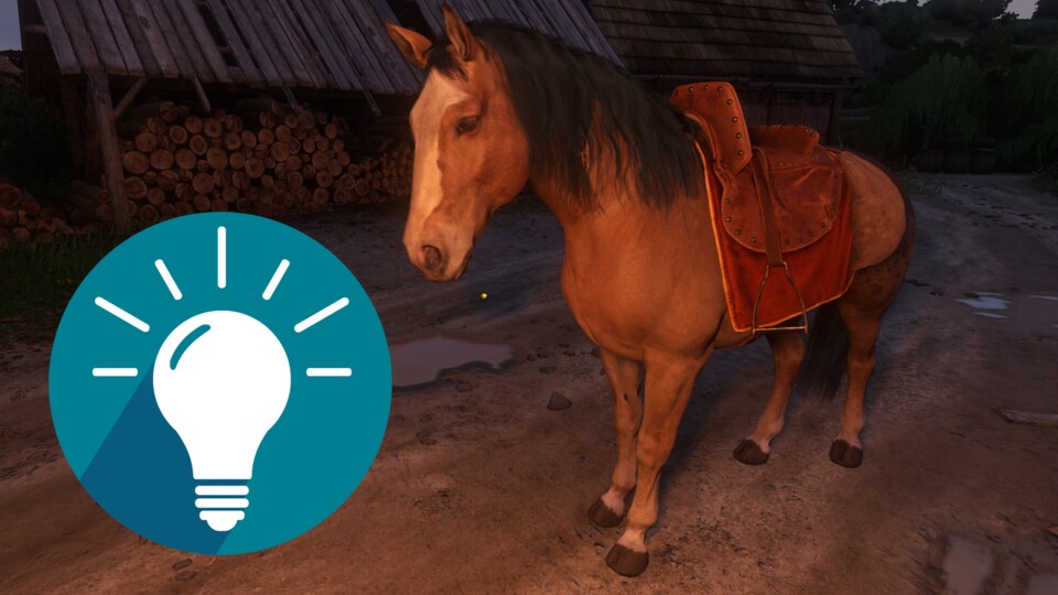 Rosinante sollte eure erste Wahl sein, bis ihr ein paar tausend Groschen investieren wollt.