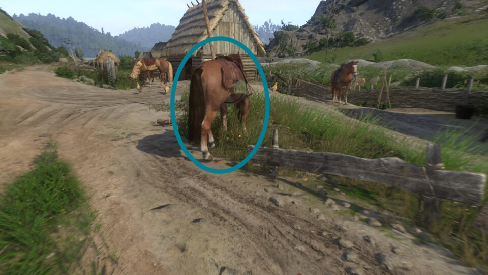 Das Pferd mit dem grünen Sattel hat das, was ihr braucht.