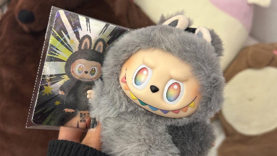 Na, erahnt ihr schon, was diese Figur wert sein könnte? (Bild: AccomplishedPlant557 auf Reddit)