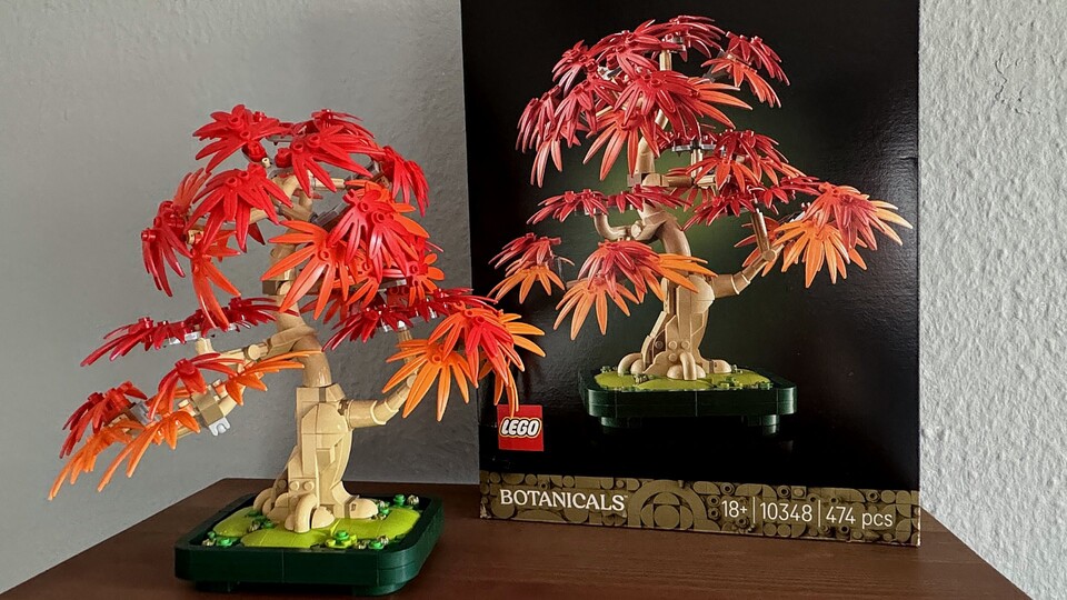 Der kleine Bonsai aus der Botanicals-Reihe ist das erste LEGO-Set, das ich nach 25 Jahren wieder gebaut habe.