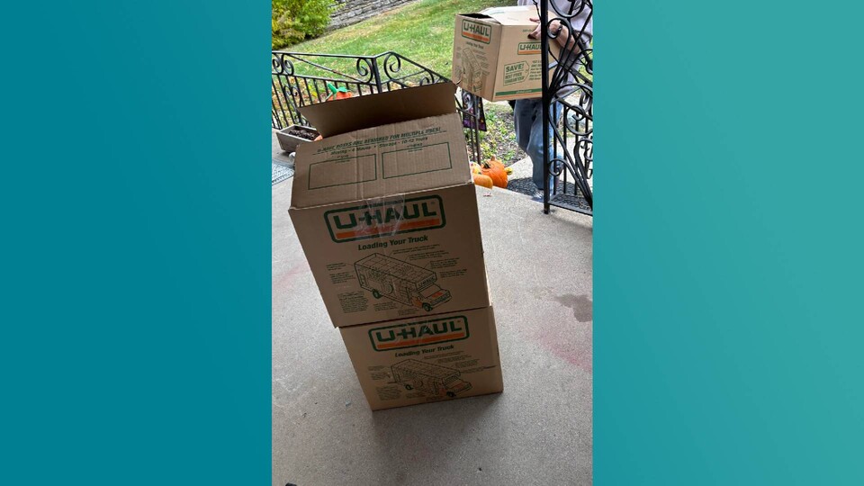 Die drei Kisten sind prall gefüllt mit LEGO-Sets. (Bild: Natural_Plankton1 auf Reddit)