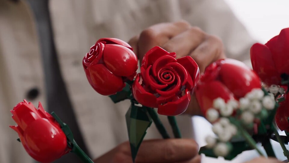 Die Rosen von LEGO sind eines der ersten Sets der Botanical Collection und deshalb ein richtiger Klassiker.