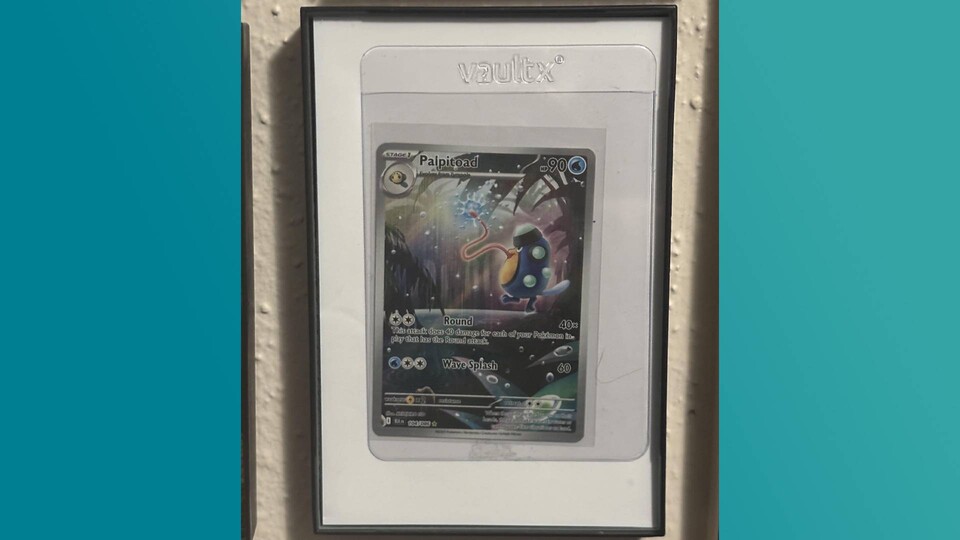 Dieses Mebrana ist jetzt Teil der Familie. (Bild: Remote_Car_8942 auf Reddit)