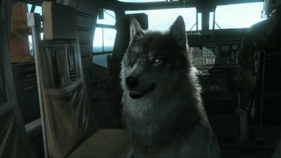 D-Dog zeigt in einer geheimen Cutscene Metal Gear Solid 5: The Phantom Pain was für ein treuer Begleiter er ist. 
