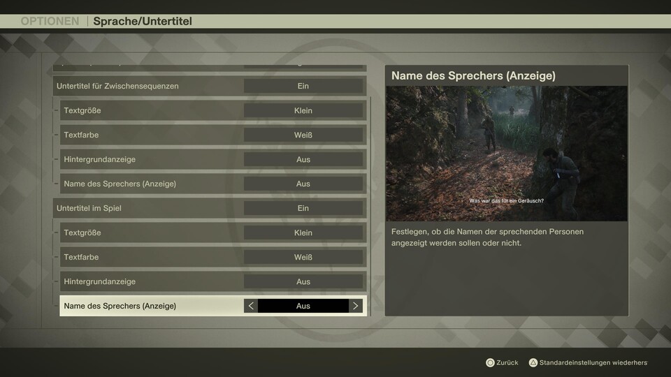So könnten zum Beispiel bei euch die Untertitel aussehen.