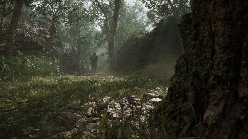 So hübsch hat der Wald im Original natürlich noch nicht ausgesehen.