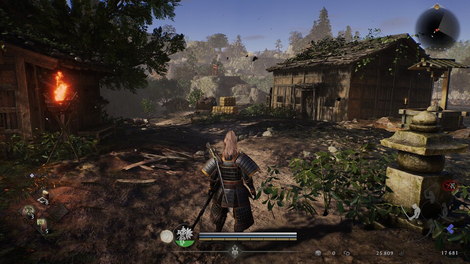 Sättigung Wert: 5 (Standard)