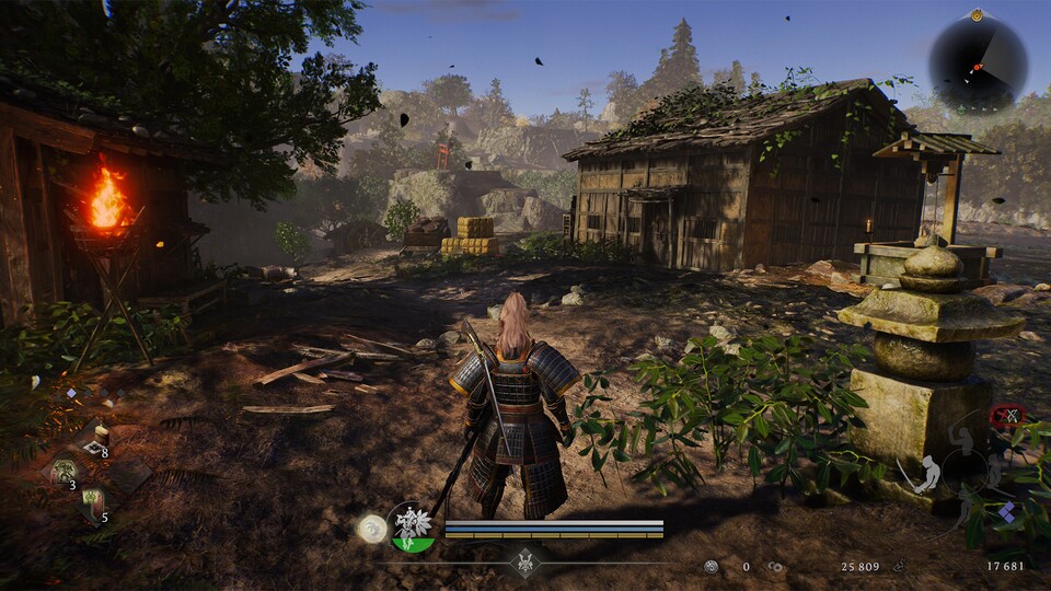 Sättigung Wert: 5 (Standard)