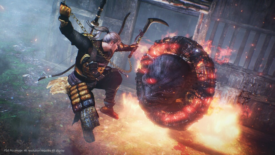 Nioh - Viele Spieler sind vom Koop-Modus enttäuscht