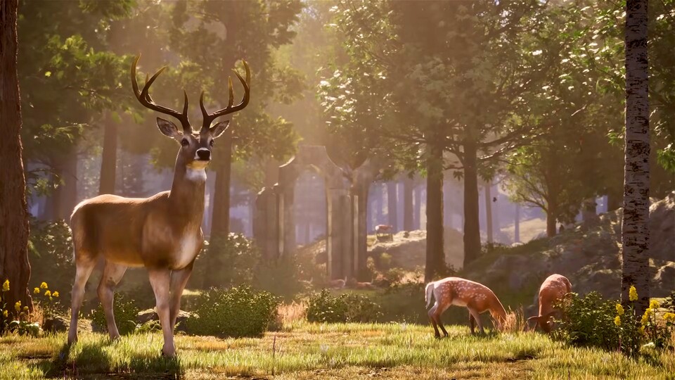 Gerade bei der Darstellung der Flora und Fauna ist die Neuauflage des Rollenspiel-Klassikers viel hübscher als das Original.