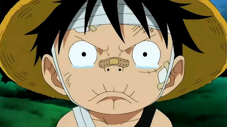 Ruffy hatte als kleiner Junge oftmals Streit mit seinen Bruder. (Bild: © Eiichiro Oda Shueisha, Toei Animation)