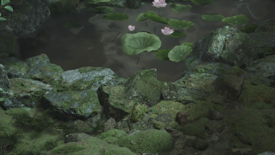 Ray-Tracing Aus