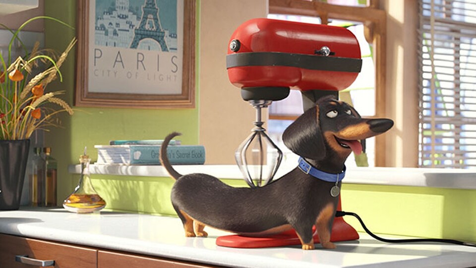 Pets - Kino-Trailer zur Animationskomödie