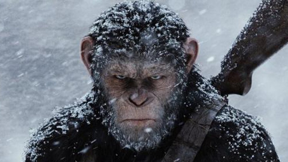Planet der Affen 3 - Trailer: Die Schlacht Mensch vs. Affen beginnt