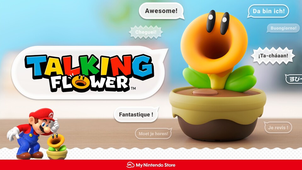 Ab jetzt könnt ihr euch von der Plauderblume euren Alltag verschönern lassen.