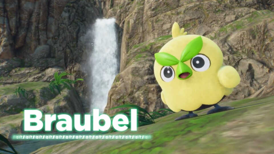 So sieht Braubel aus.