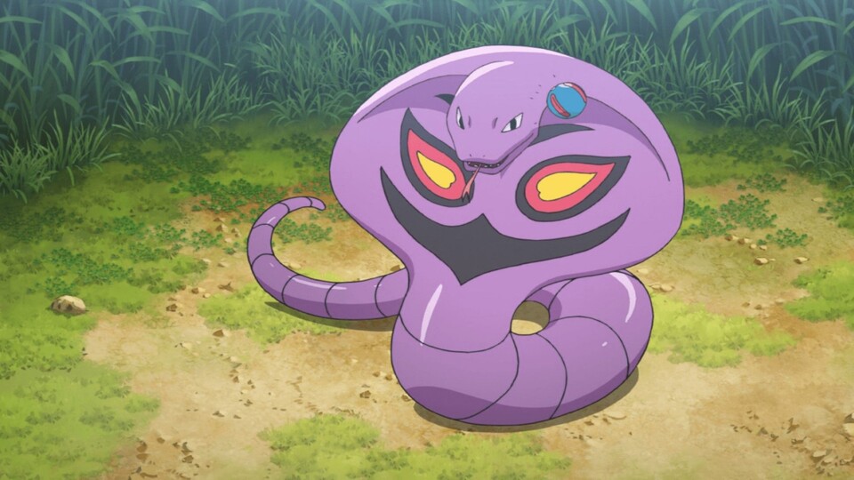 Hier seht ihr das Pokémon Arbok und es teilt sich eine ganz bestimmte Sache mit Rettan und Rotom.